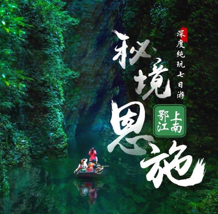 救援小孔雀